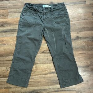 Aventura cargo pants